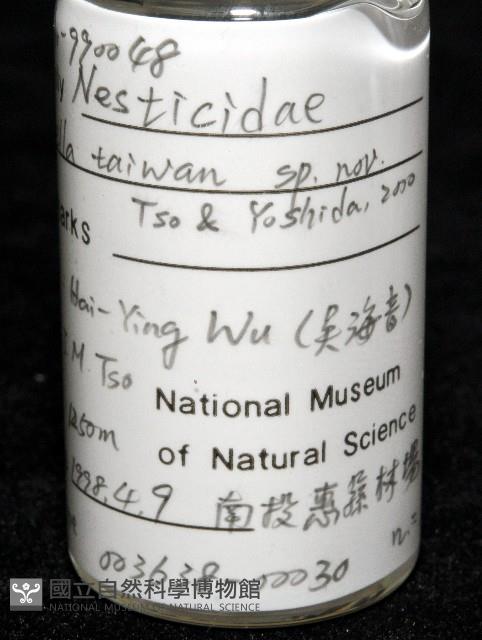 臺灣奈斯蛛藏品圖，第7張