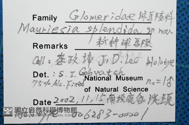 奇妙摩氏球馬陸藏品圖，第7張