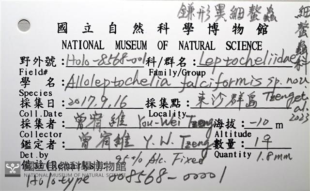 鐮形異細螯蟲藏品圖，第7張