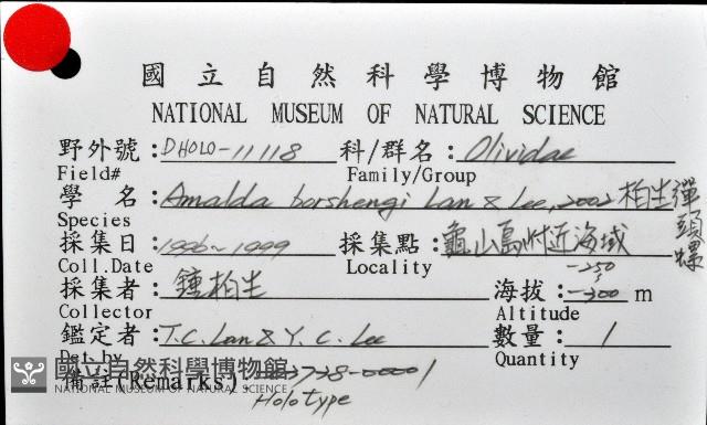 柏生彈頭螺藏品圖，第7張
