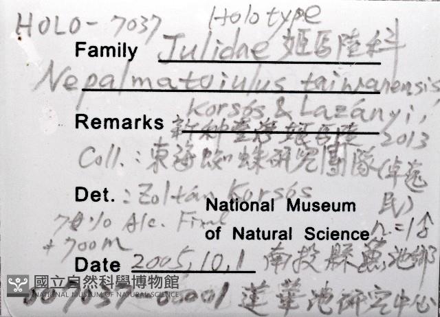 新種臺灣姬馬陸藏品圖，第7張