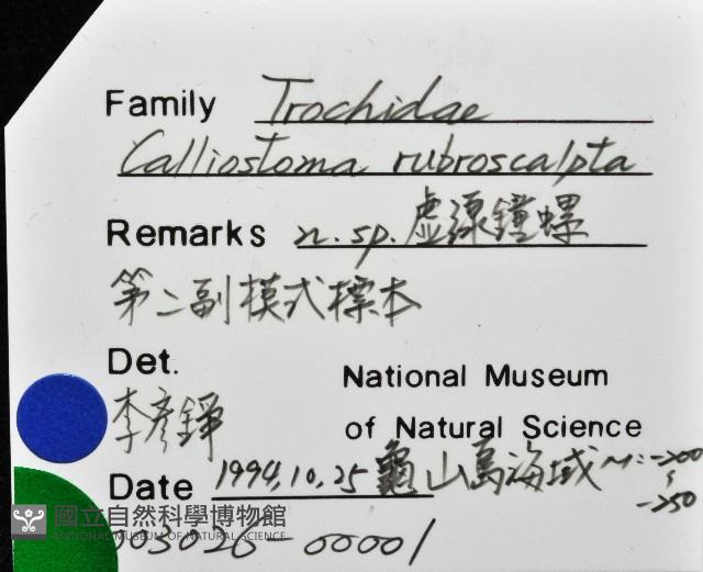 虛線鐘螺藏品圖，第7張