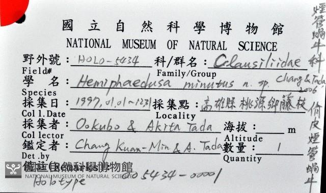 俏皮煙管蝸牛藏品圖，第7張