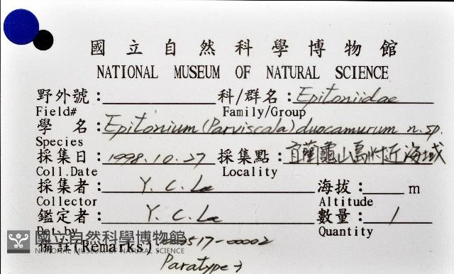 新種綺螄螺藏品圖，第7張