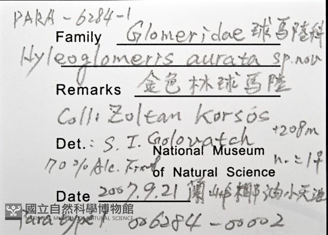 金色木球馬陸藏品圖，第7張