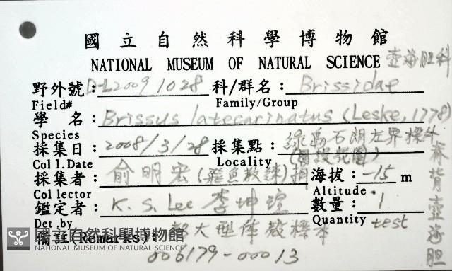 脊背壺海膽藏品圖，第32張