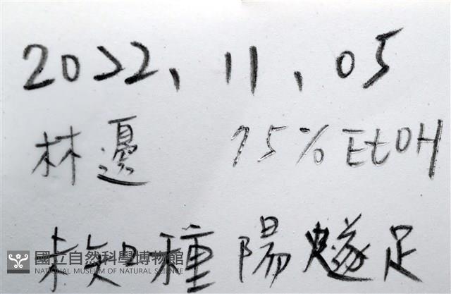 沙氏輻蛇尾藏品圖，第12張