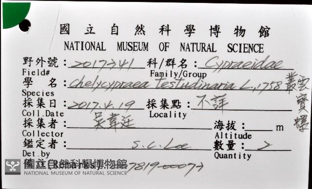 叢雲寶螺藏品圖，第12張