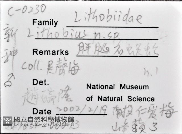 梅峰石蜈蚣藏品圖，第12張
