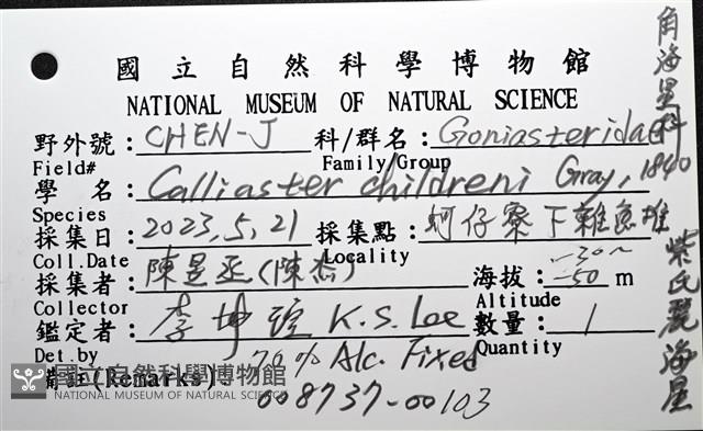 玉緣棘角海星(紫氏麗海星)藏品圖，第12張