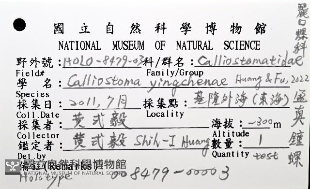 盈真鐘螺藏品圖，第12張