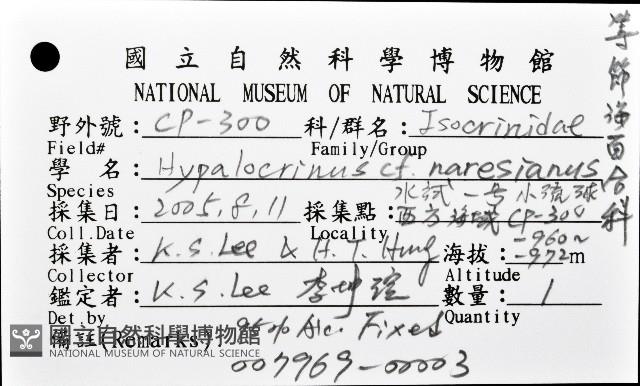 等節海百合之一種藏品圖，第12張