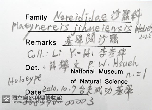 基翬闊沙蠶藏品圖，第12張
