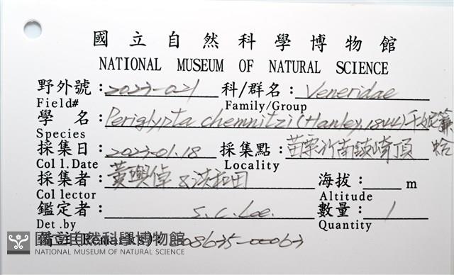 千妮簾蛤藏品圖，第12張