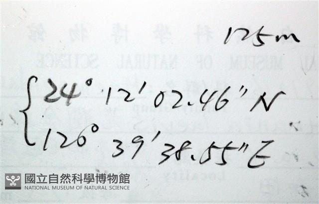 光潤金線蛭藏品圖，第11張