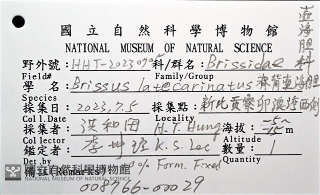 脊背壺海膽藏品圖，第12張