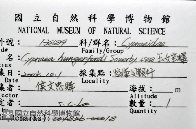 玉女寶螺藏品圖，第12張