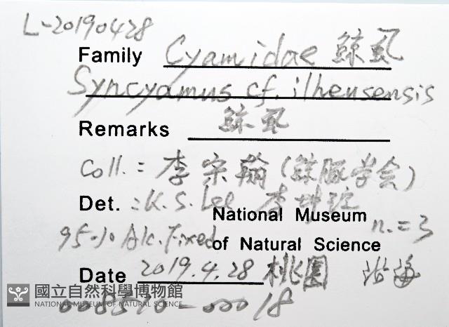鯨虱的一種藏品圖，第12張