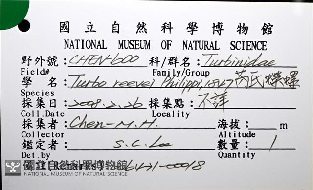 芮氏蠑螺藏品圖，第12張