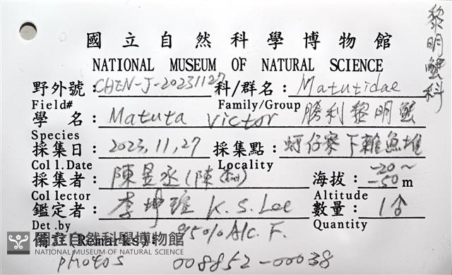 頑強(勝利)黎明蟹藏品圖，第12張