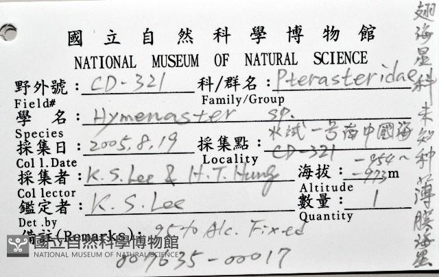 未知種薄膜海星藏品圖，第12張