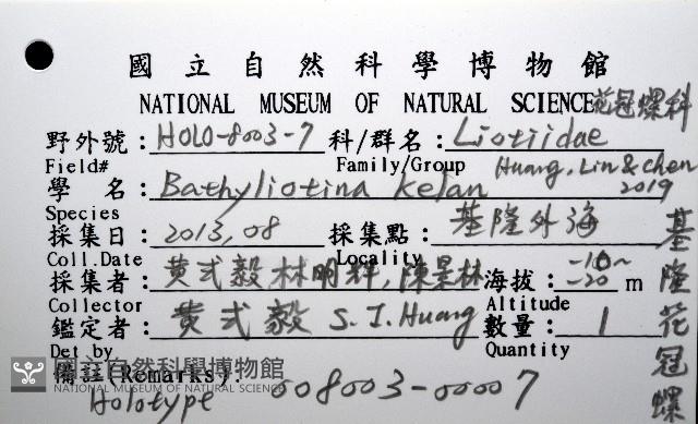 基隆花冠螺藏品圖，第12張