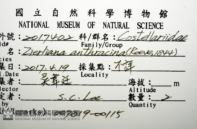 登錄號:007819-00115藏品圖，第12張