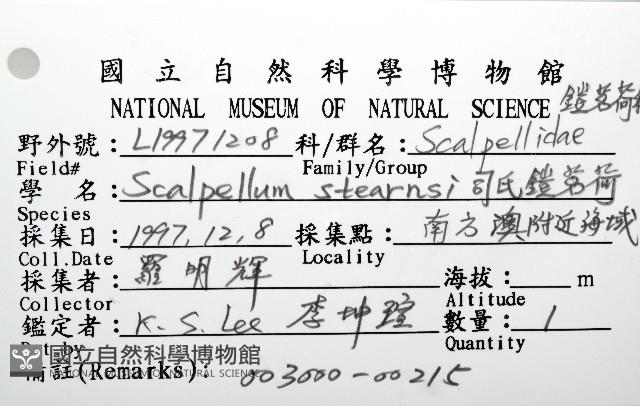 司氏鎧茗荷藏品圖，第12張
