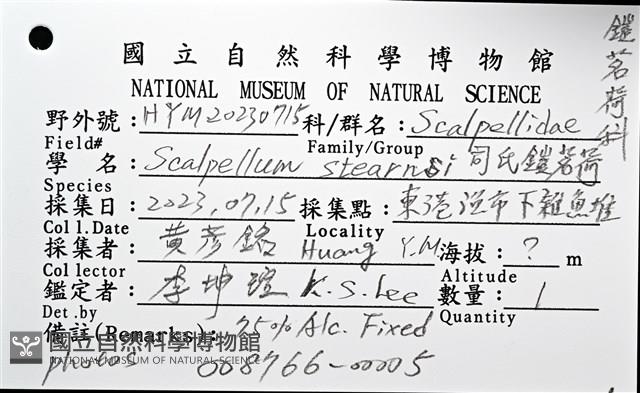 司氏鎧茗荷藏品圖，第12張