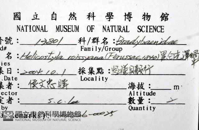 黑白光澤蝸牛藏品圖，第12張