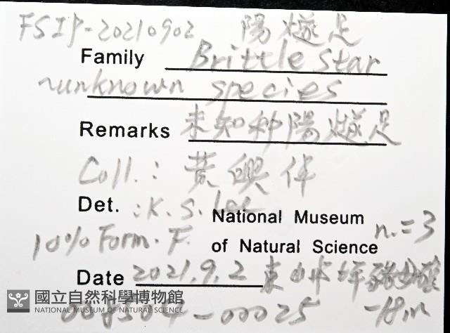 未知種陽燧足藏品圖，第12張