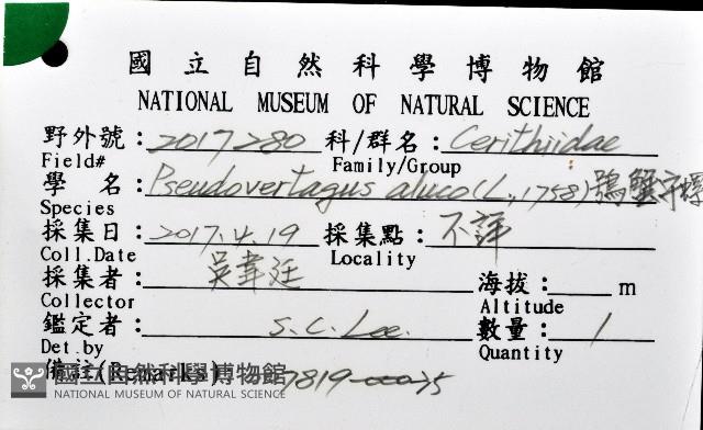 鴞蟹守螺藏品圖，第12張
