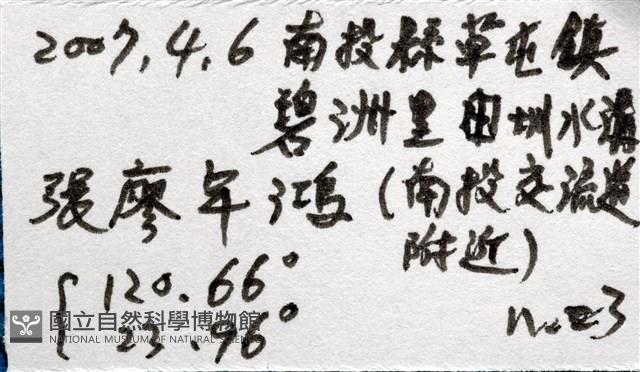 光潤金線蛭藏品圖，第12張