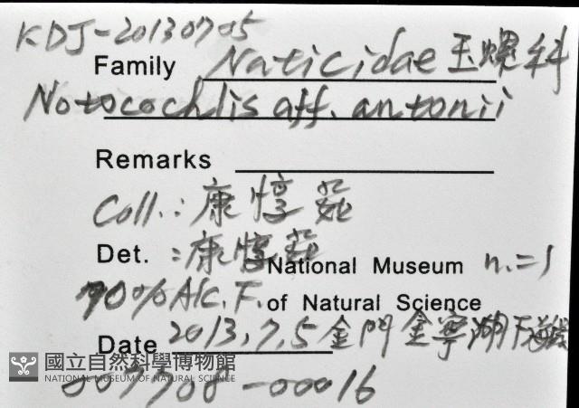 安東尼玉螺藏品圖，第12張