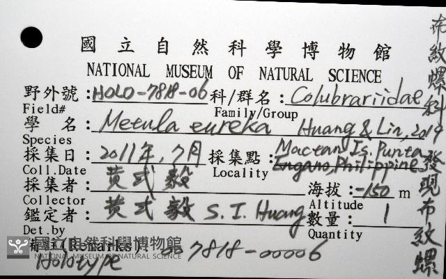 發現布紋螺藏品圖，第12張