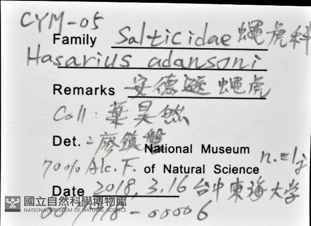 安德遜蠅虎藏品圖，第12張