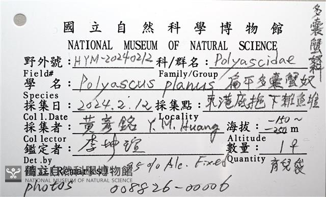 扁平多囊蟹奴藏品圖，第12張