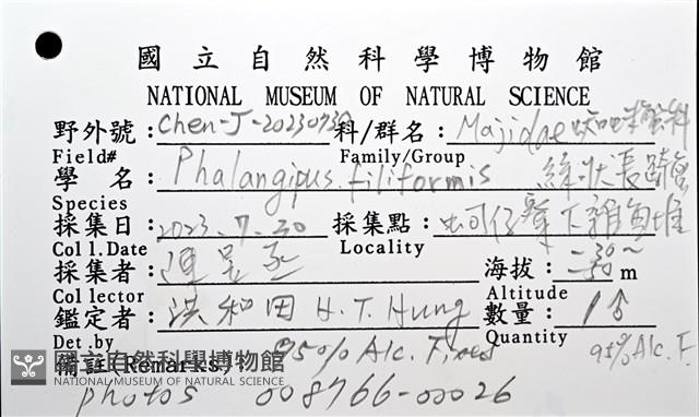 絲狀長踦蟹藏品圖，第12張
