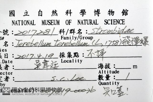 飛彈螺藏品圖，第12張