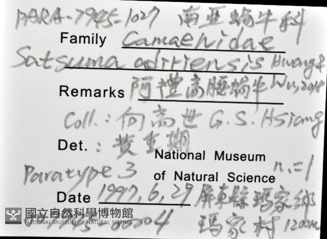 阿禮高腰蝸牛藏品圖，第12張