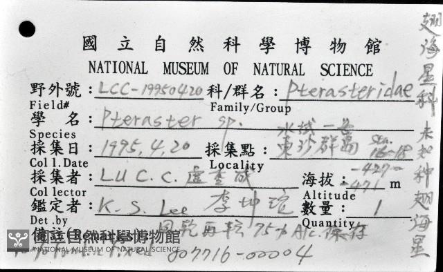 未知種翅海星藏品圖，第12張