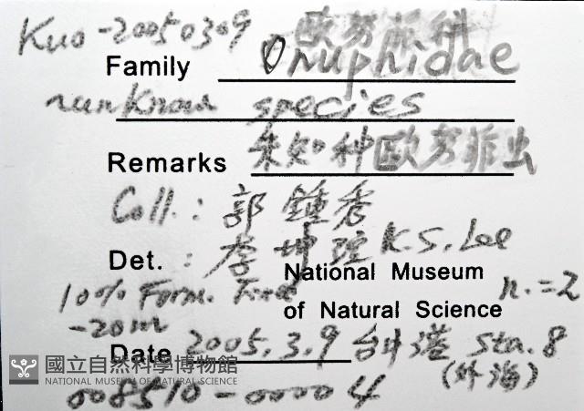 未知種歐努菲蟲藏品圖，第12張
