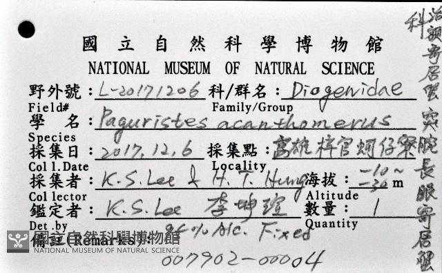 突腕長眼寄居蟹藏品圖，第12張