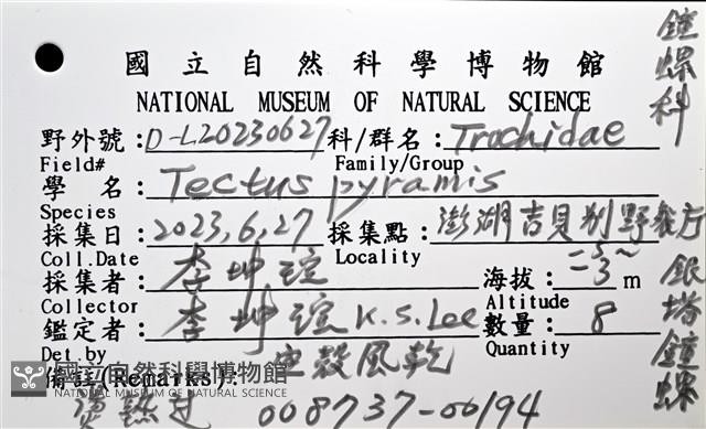 銀塔鐘螺藏品圖，第12張
