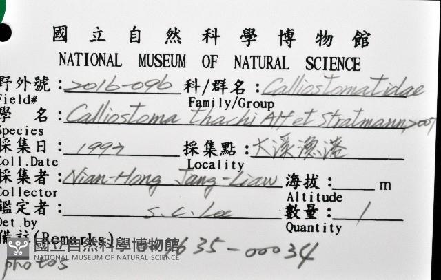 麗口螺之一種藏品圖，第12張