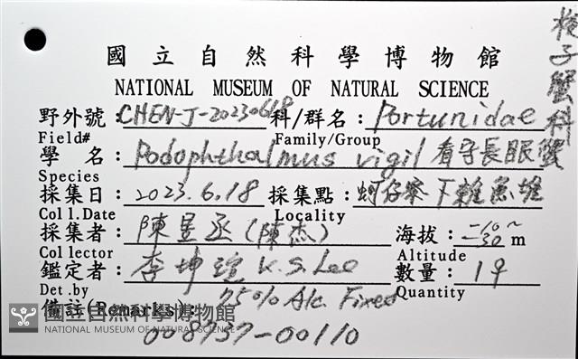 看守長眼蟹藏品圖，第12張