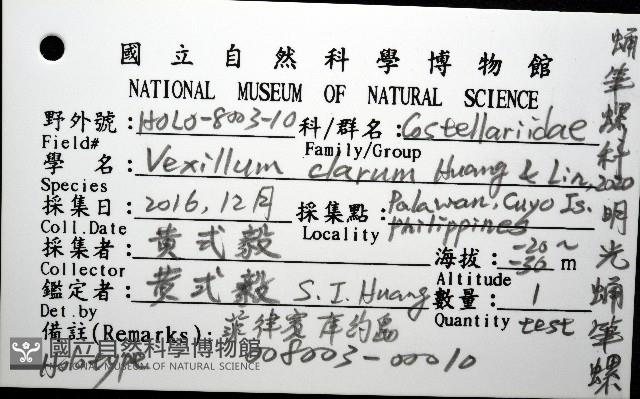 明光蛹筆螺藏品圖，第12張
