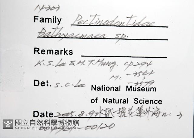 登錄號:004961-00120藏品圖，第12張