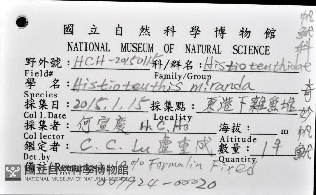 奇妙帆魷藏品圖，第12張