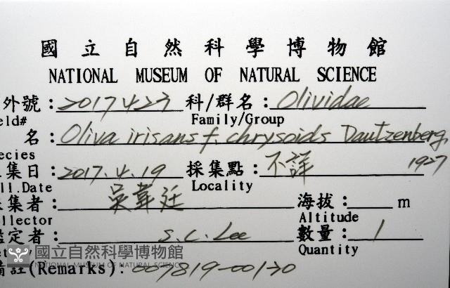 登錄號:007819-00130藏品圖，第12張